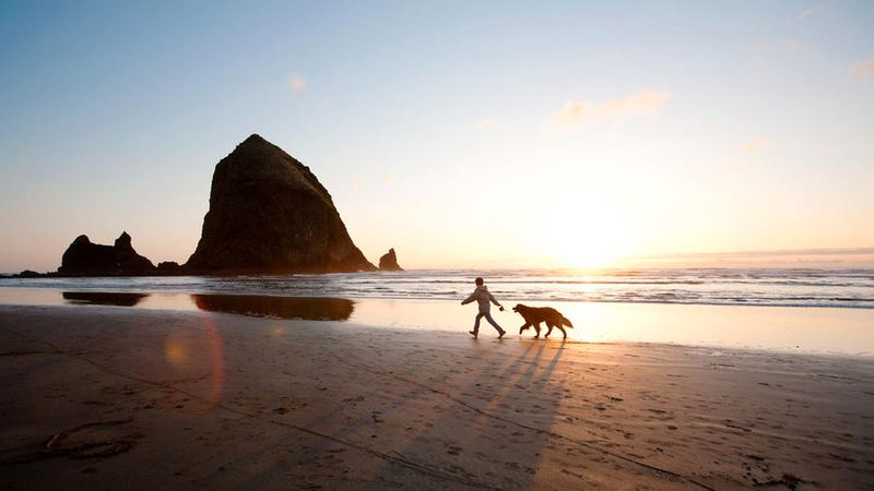 Best Dog Friendly Vacations 25 Trips For You And Your Pup
