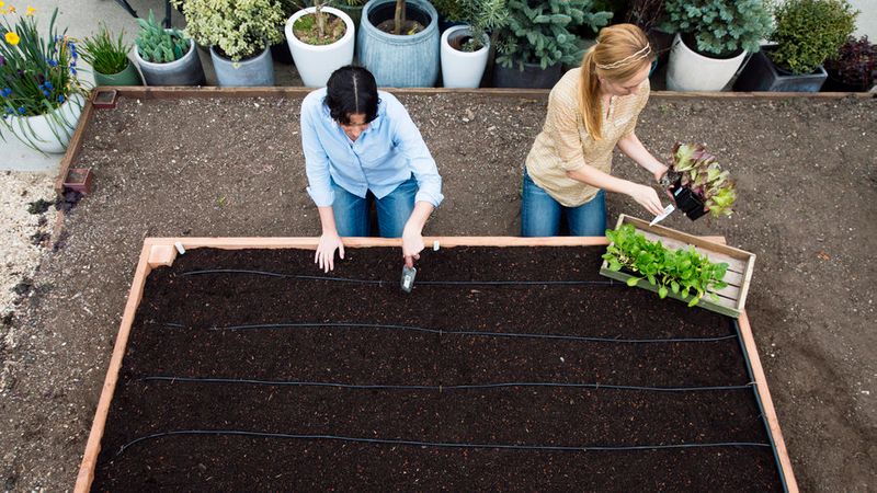 Raised Garden Bed Easy Diy Steps To Build An Elevated Planter