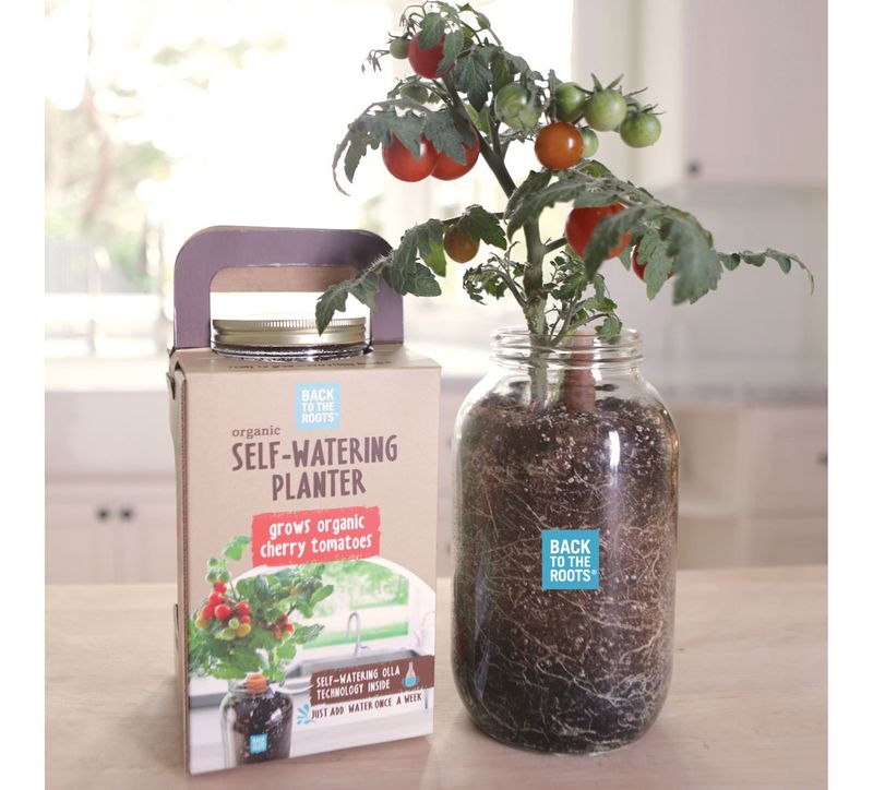 Self Watering Pots To Save Time Precious Resources