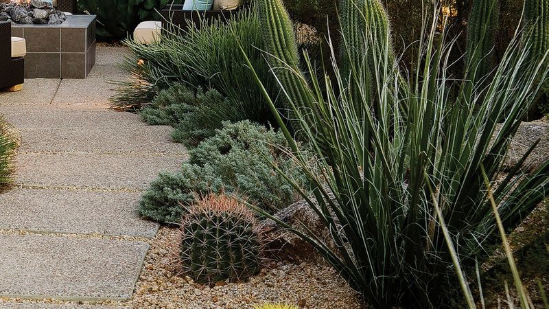 Southwest Backyard Ideas - Sunset Magazine Southwest Backyard Ideas - Sunset Magazine on Southwest Backyard Ideas id=58725