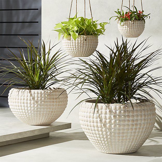 Statement-Making Large Outdoor Planters - Sunset Magazine