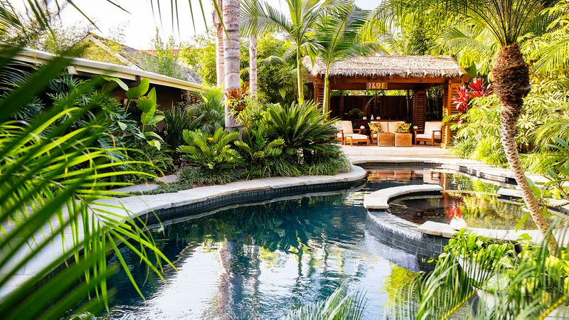 Tropical Plants Retreat Sunset Com Sunset Magazine