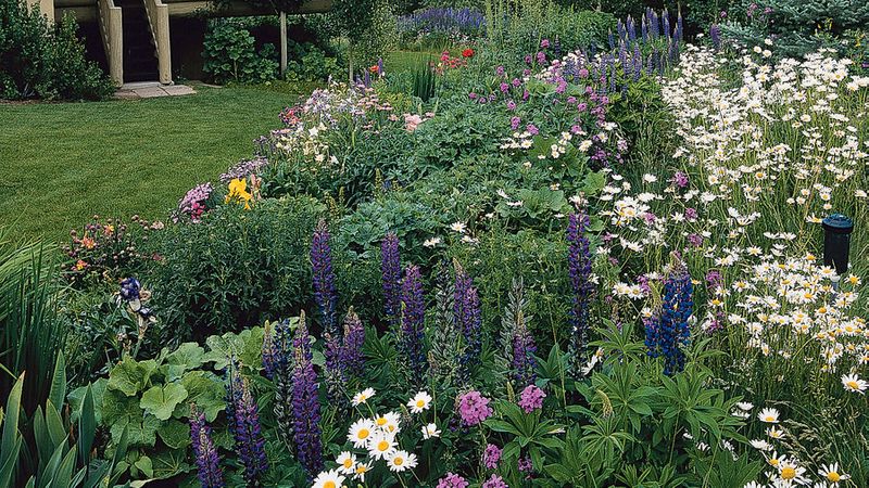 Gorgeous Garden Border Design Ideas for Any Yard in the West - Sunset - Sunset Magazine