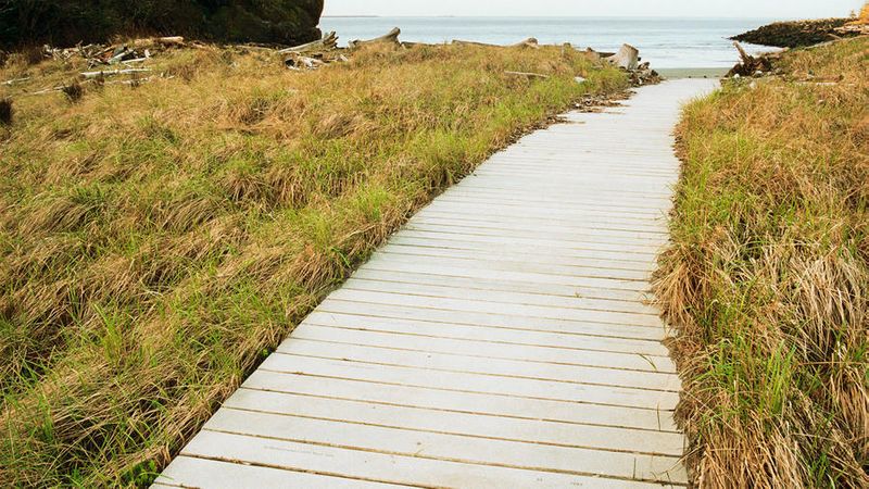 Best Dog Friendly Vacations 25 Trips For You And Your Pup