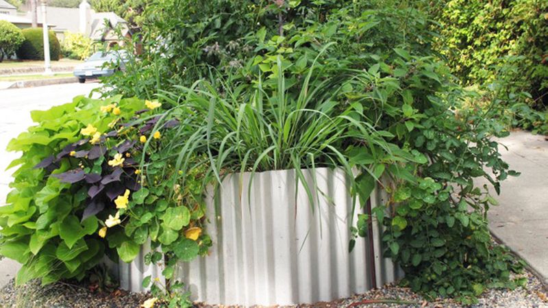 Raised Garden Bed Designs Sunset Magazine