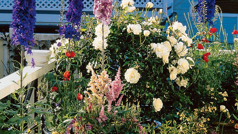 Your Guide To Growing An English Cottage Garden In The West