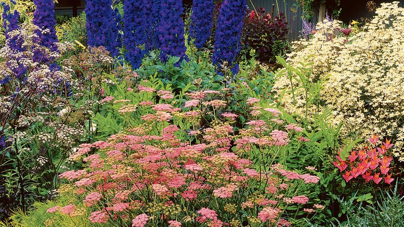 Your Guide To Growing An English Cottage Garden In The West