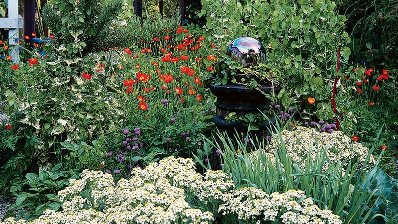 Your Guide To Growing An English Cottage Garden In The West