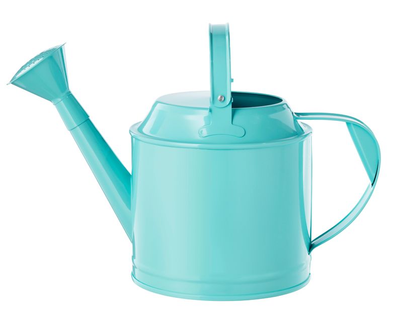 SuperChic Small Watering Cans Sunset Magazine