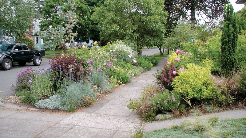Gorgeous Garden Border Design Ideas for Any Yard in the West - Sunset
